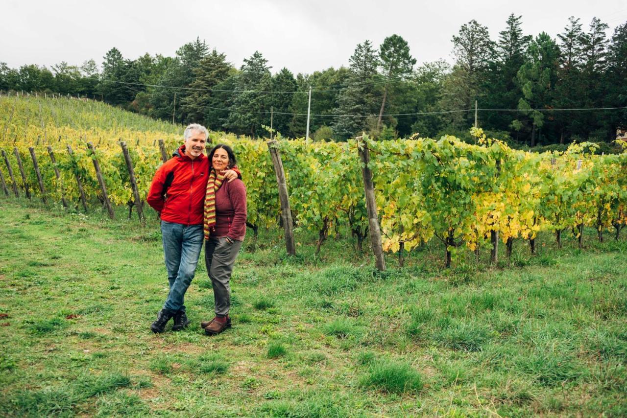 Podere Orto Wine Country House Trevinano Екстериор снимка