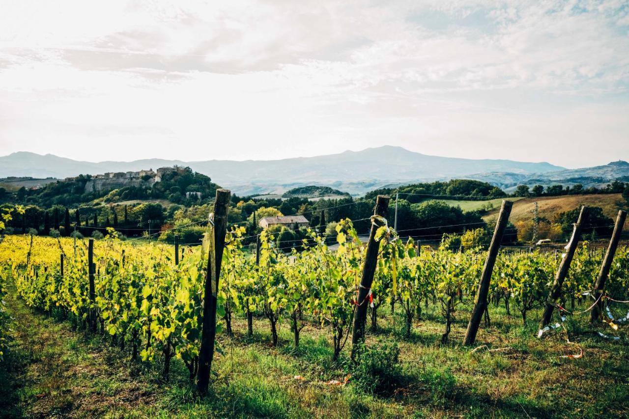 Podere Orto Wine Country House Trevinano Екстериор снимка