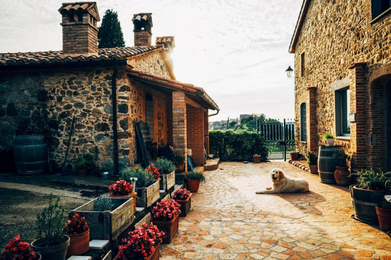 Podere Orto Wine Country House Trevinano Екстериор снимка