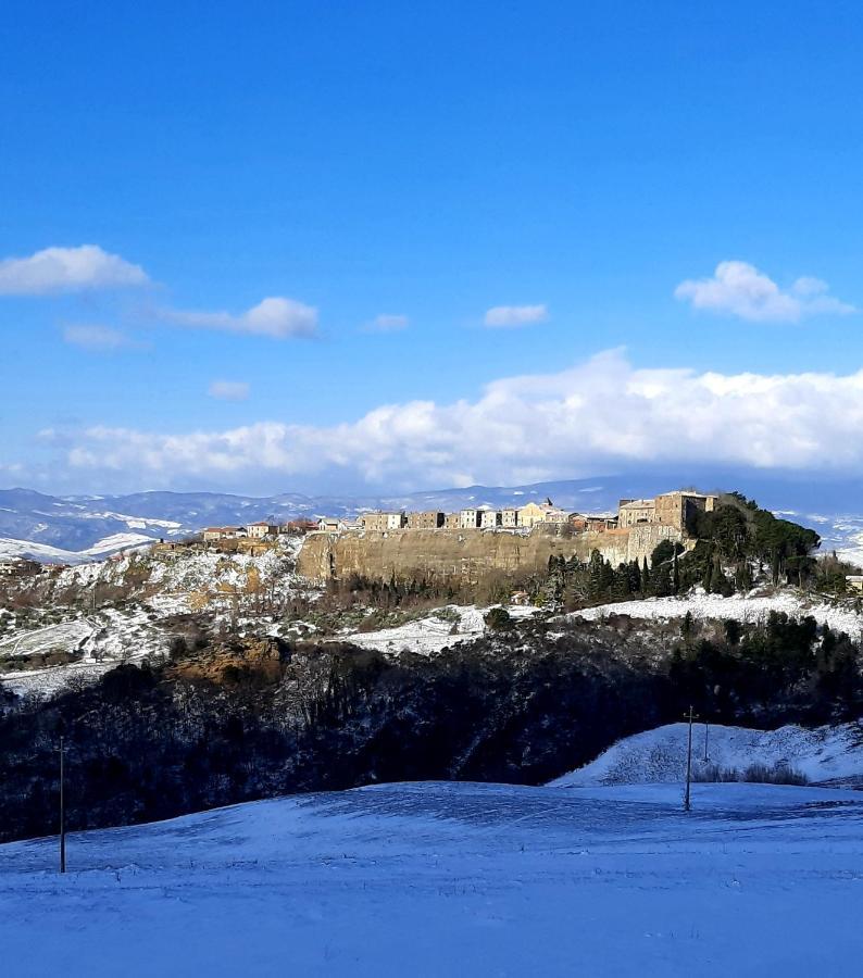 Podere Orto Wine Country House Trevinano Екстериор снимка