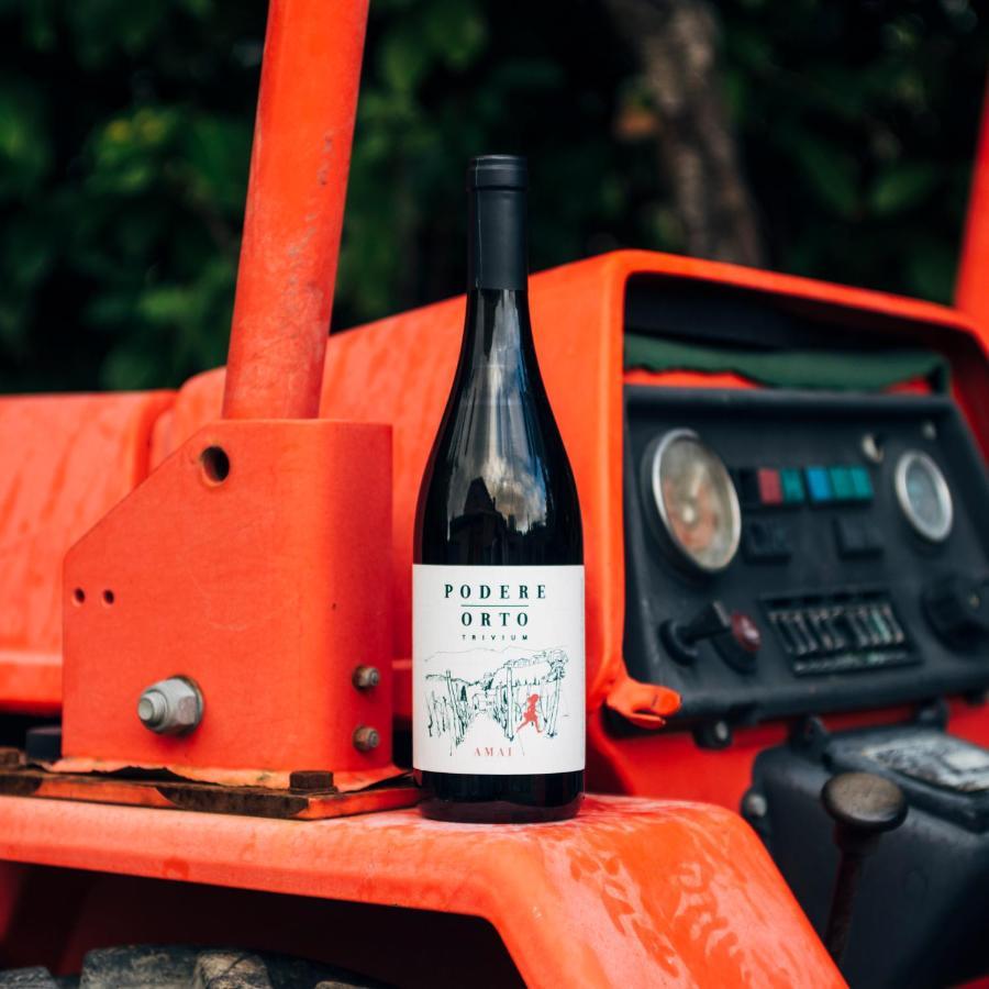Podere Orto Wine Country House Trevinano Екстериор снимка