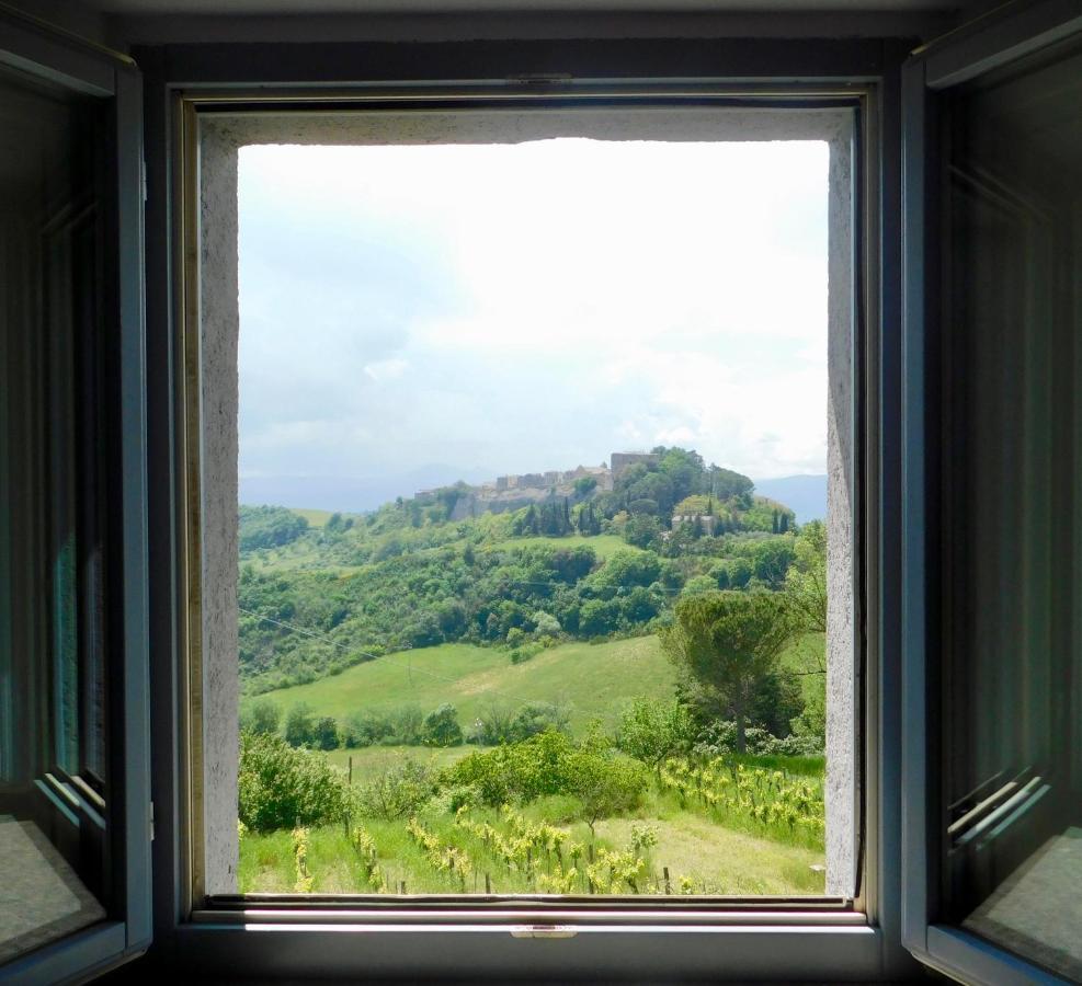Podere Orto Wine Country House Trevinano Екстериор снимка