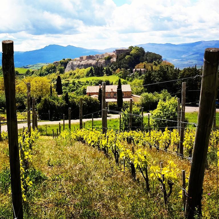 Podere Orto Wine Country House Trevinano Екстериор снимка