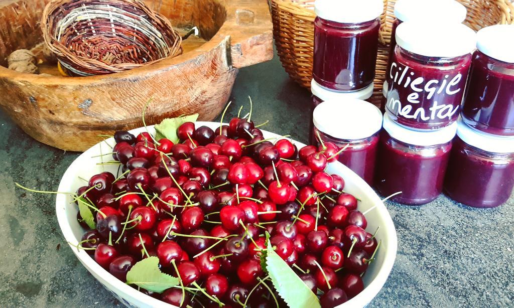Podere Orto Wine Country House Trevinano Екстериор снимка