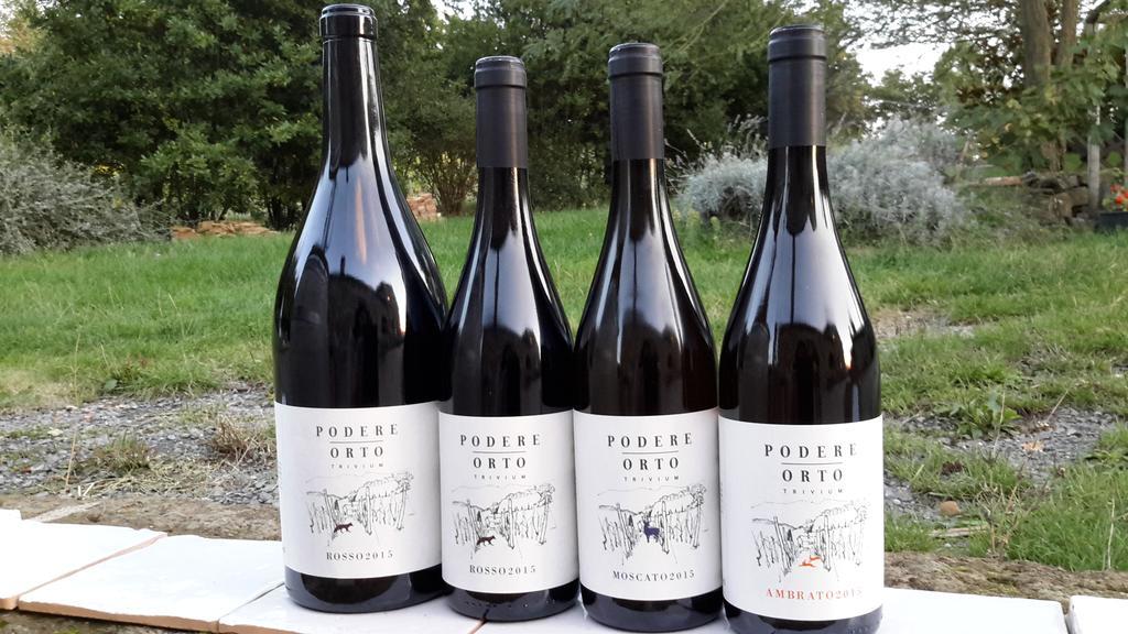 Podere Orto Wine Country House Trevinano Екстериор снимка